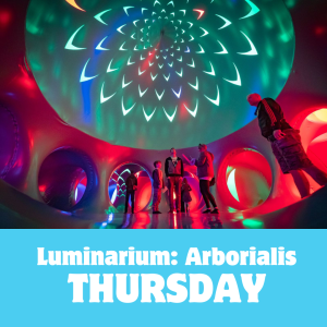 Luminarium: Arborialis THURSDAY, JUNE 5